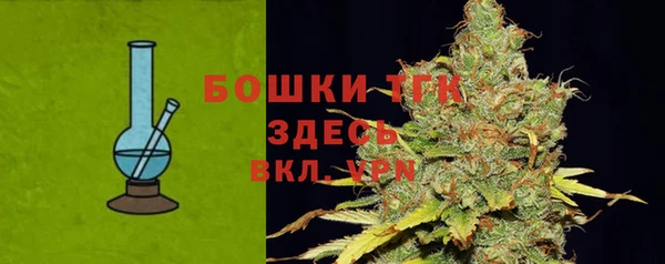 кокс Арсеньев
