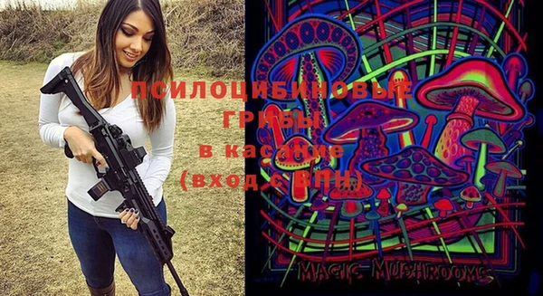 первитин Армянск